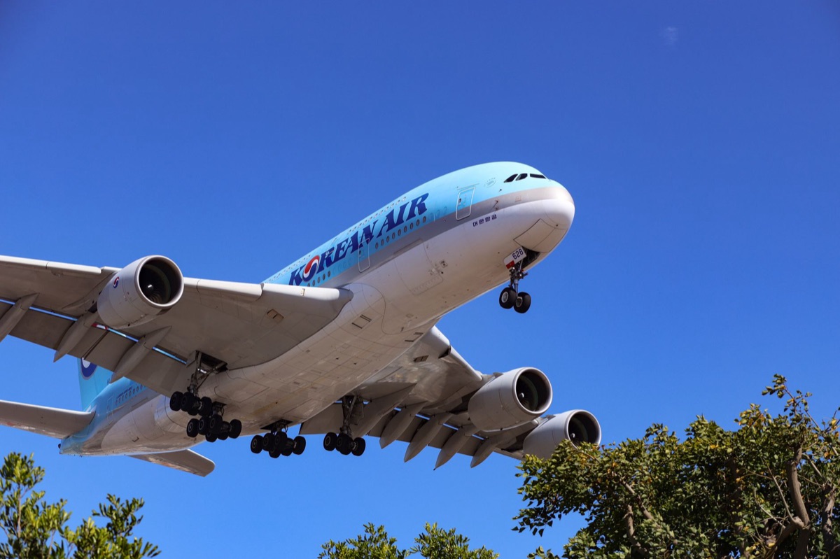 A380 운영부터 환승까지, 두바이의 압도적 운영 효율성 공개