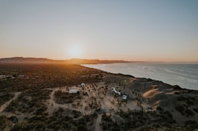 Dubai Desert Safaris: Morning, Sunset, or Overnight Tours