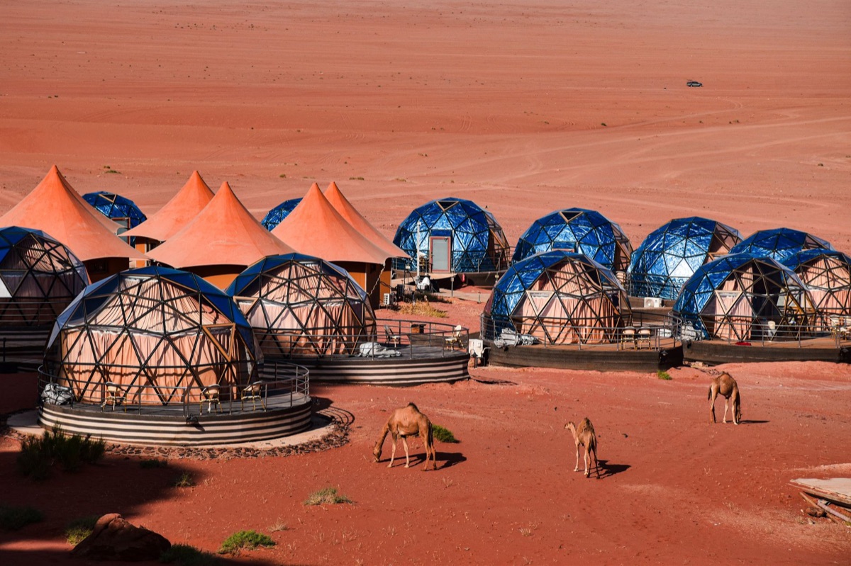 Tent, camel, desert camp