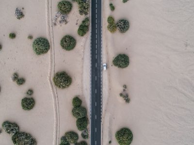 Scegli il Tuo Safari Dubai: 3 Opzioni per Ogni Budget e Avventura