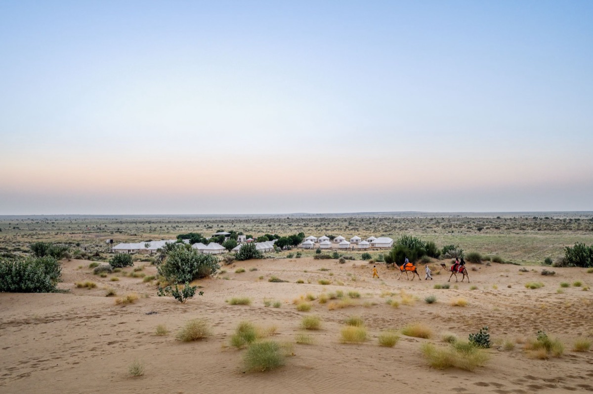 Una vista di un serra deserto con un camello e un tramonto