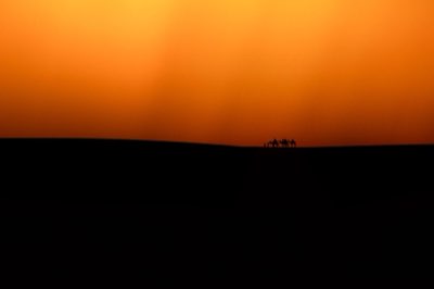 3 Tipos de Safari em Dubai: Matinal, Pôr do Sol ou Pernoite?