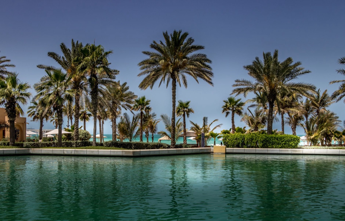 Dubai beach with palm trees