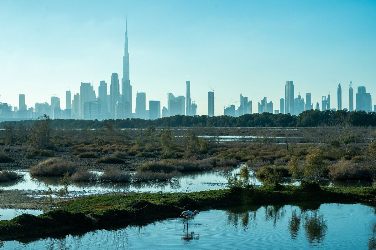 Dubai skyline
