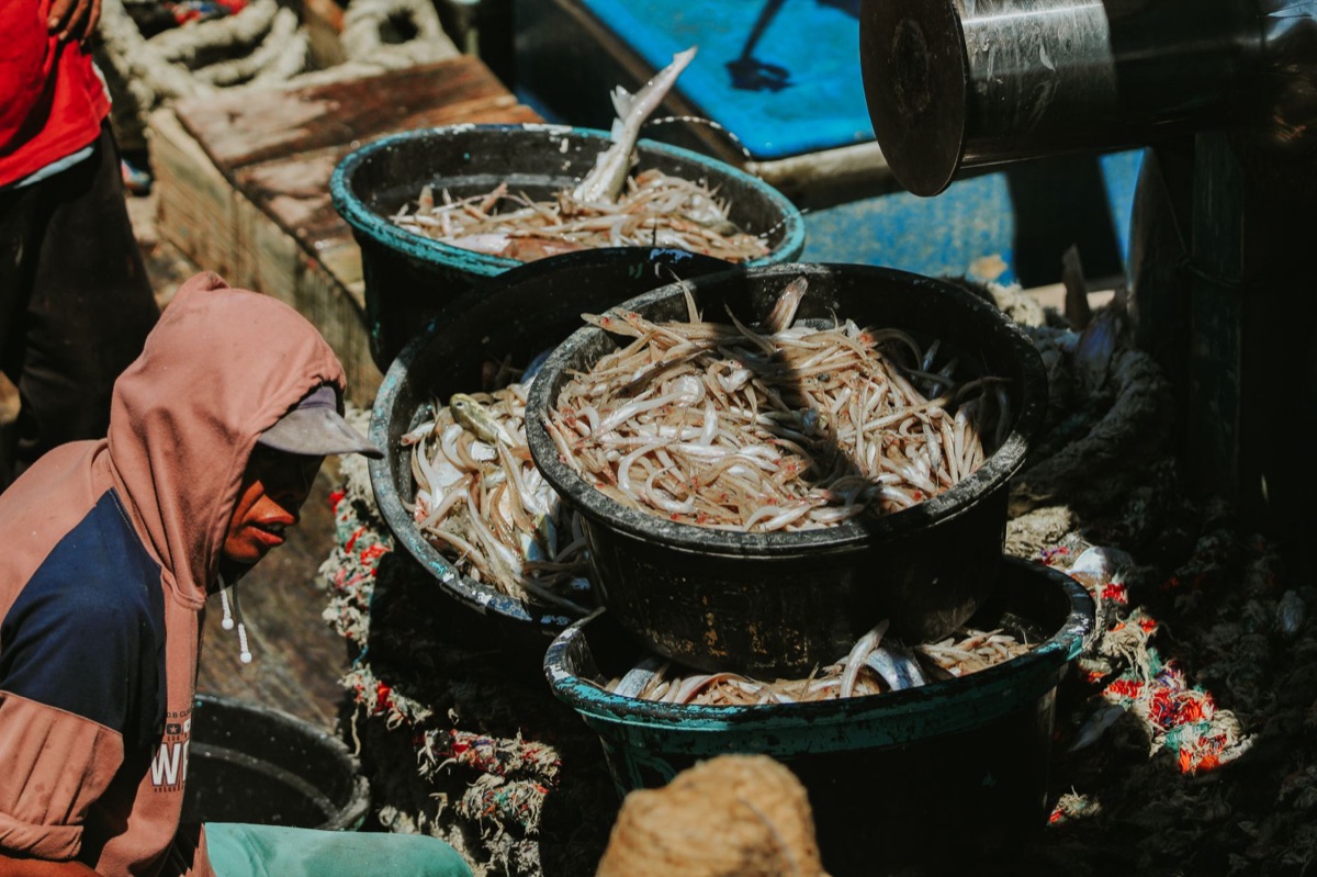 Mercado de peixes tradicional em Dubai