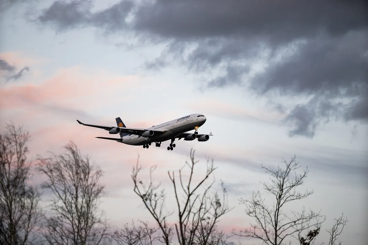 航空機、飛行機、飛行、空港、旅行、航空、休暇、旅客機、観光